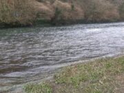 River Bandon sees a couple of springers caught River bandon