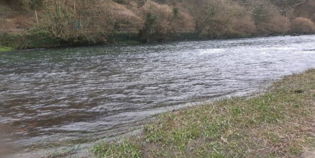 River bandon