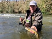 trout