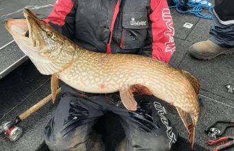 Anne Marie smashes PB with 21.5lb Derg pike
