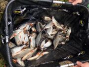 Lurgan anglers find Muckno fishes well despite cold start