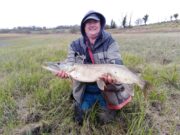 Rivers produce numbers but Lakes throw up the bigger pike for Newbridge Pike Anglers