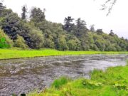 The Boyne produces some early Springers, best fish 18lb The River Boyne at Navan, Co Meath, Ireland