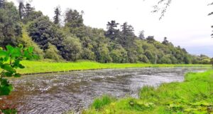 The Boyne produces some early Springers, best fish 18lb The River Boyne at Navan, Co Meath, Ireland