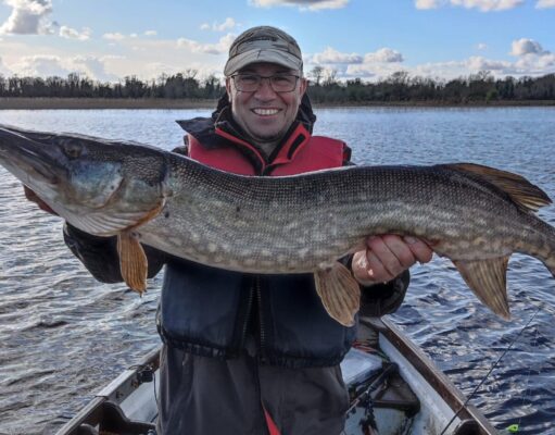 Great pike fishing at Melview Lodge, with 162 pike for French anglers and PB pike for Austrian guests