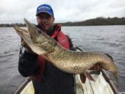 Excellent Fishing for French Anglers At Melview Fishing Lodge With 224 Pike Nicolas with a 101cm