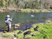 Irish Angling Update π£ Fancy winning β¬200?