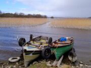 Cold winds the killer – Lough Sheelin Angling Report April 4th -10th