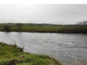 A couple of salmon from Bandon last week, perfect conditions now