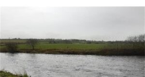 A couple of salmon from Bandon last week, perfect conditions now