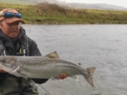 Three springers for Blackwater Trout and Salmon Fishery on Monday