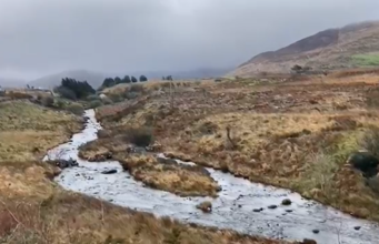 Quiet on a cold Currane since last report Commeragh
