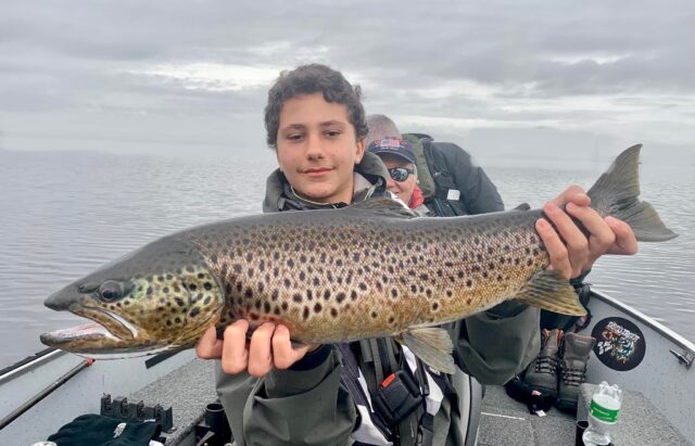 trout