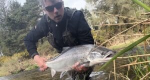 Some fine salmon being reported from the Slaney