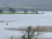 Lough Arrow Anglers fish the Martin Carr Perpetual Cup lough arrow