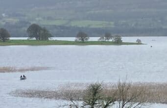 lough arrow