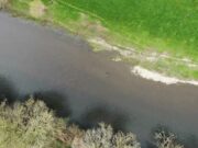 Handle with care – Smolts running
