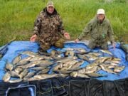 Some great fishing had at Melview by Len and John from the UK.