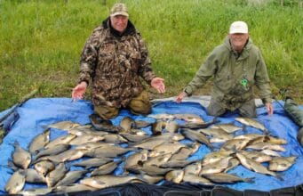 Some great fishing had at Melview by Len and John from the UK.