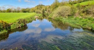 Trout fishing still to pick up on the Bride River Bride