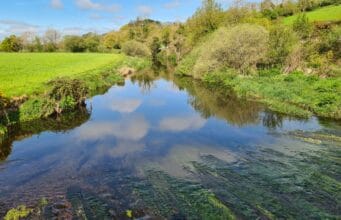 Poor hatches and poor evening rise on the Bride River Bride