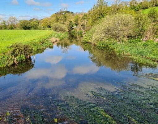 Trout fishing still to pick up on the Bride River Bride
