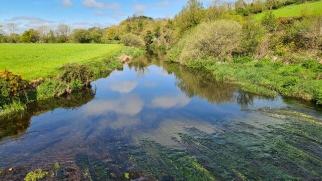 River Bride