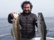 Good start to the season for West Cork’s Irish Deep Sea Charters Pollack and coal fish