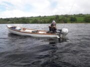 Spent gnat did best on Lough Arrow last week Trout fishing on Lough Arrow