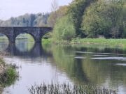 Irish Angling Update – 27 May 2022