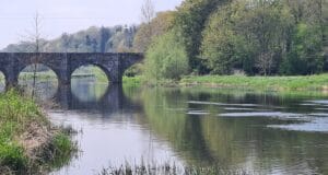 Irish Angling Update – 27 May 2022