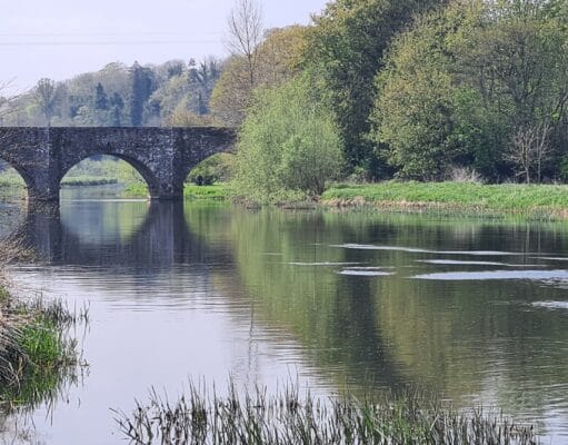 Irish Angling Update – 27 May 2022