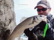 West Cork Bass off the mark for 2022