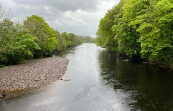Fresh water brings fish on the River Finn