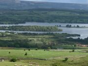 Successful mayfly competition held on Lough Arrow Lough Arrow