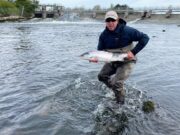 Good spring salmon fishing in Galway