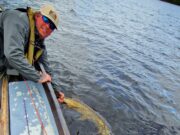 Super fly fishing for pike for Pikeonthefly client