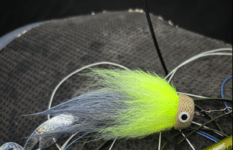 L’ile Verte Pike Fishing Lodge – April Roundup