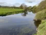 Five salmon to 10lb off the Bandon last week River Bandon