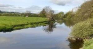 Five salmon to 10lb off the Bandon last week River Bandon