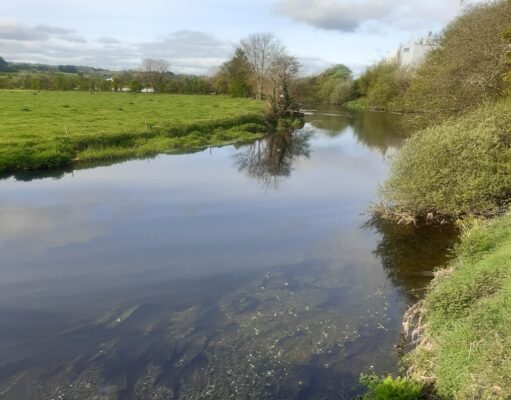 Five salmon to 10lb off the Bandon last week River Bandon