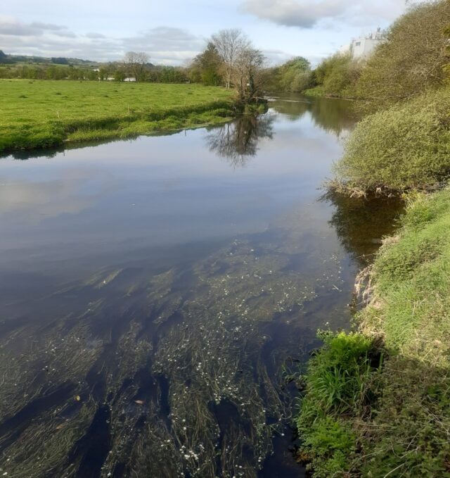 River Bandon