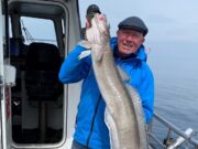 Courtmacsherry anglers get good fishing on charterboats and selfdrives ling