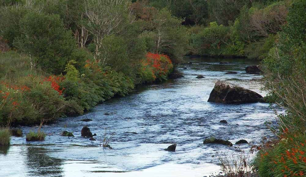 Owenmore River, Cloghan