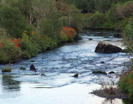 Much needed rain misses the Owenmore in Kerry Owenmore River, Cloghan