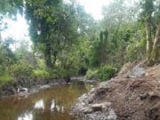 Longford landowner fined for disturbance of spawning beds