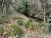 Development works planned for Rosshill River, Lough Mask Rosshill River