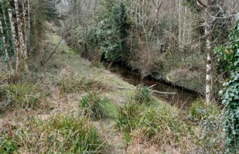 Development works planned for Rosshill River, Lough Mask Rosshill River