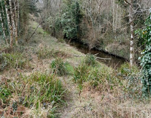 Rosshill River