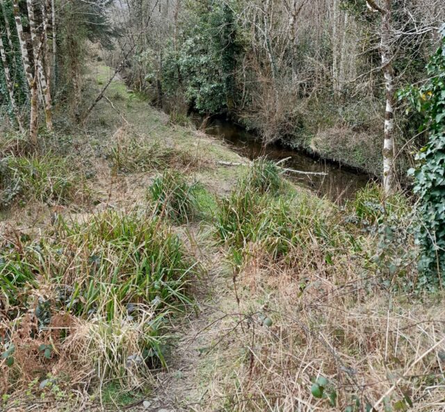 20220324_124104 Rosshill River